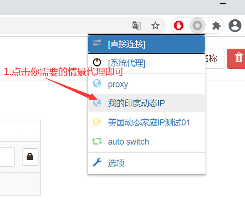 使用google插件proxy SwitchyOmega设置国外代理IP教程04